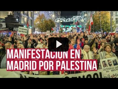 Embedded thumbnail for Video: Alto el genocidio: sigue en directo la manifestación en Madrid por Palestina