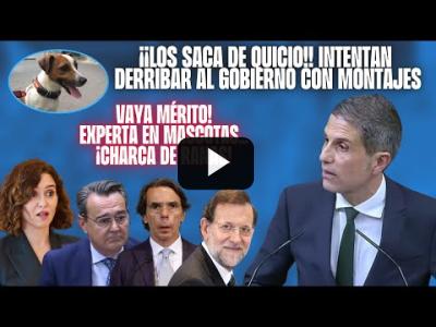 Embedded thumbnail for Video: Socialista DESQUICIA al PP x la PERSECUCIÓN contra SÁNCHEZ &amp;quot;AYUSO, el PERRO PECAS, la CHARCA AGURRE&amp;quot;