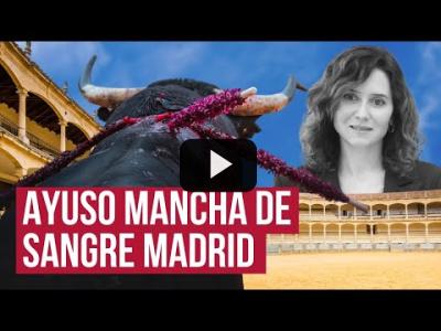 Embedded thumbnail for Video: Ayuso apoya la tortura animal y recorta en cultura: la derecha blinda los toros con dinero público