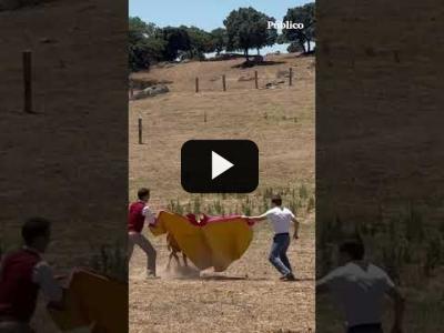 Embedded thumbnail for Video: Almeida da el cante y se pone a torear