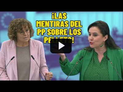 Embedded thumbnail for Video: El PP se ESTRELLA en EUROPA: ¡Una eurodiputada les saca las VERGÜENZAS! Las MENTIRAS de los PELLETS